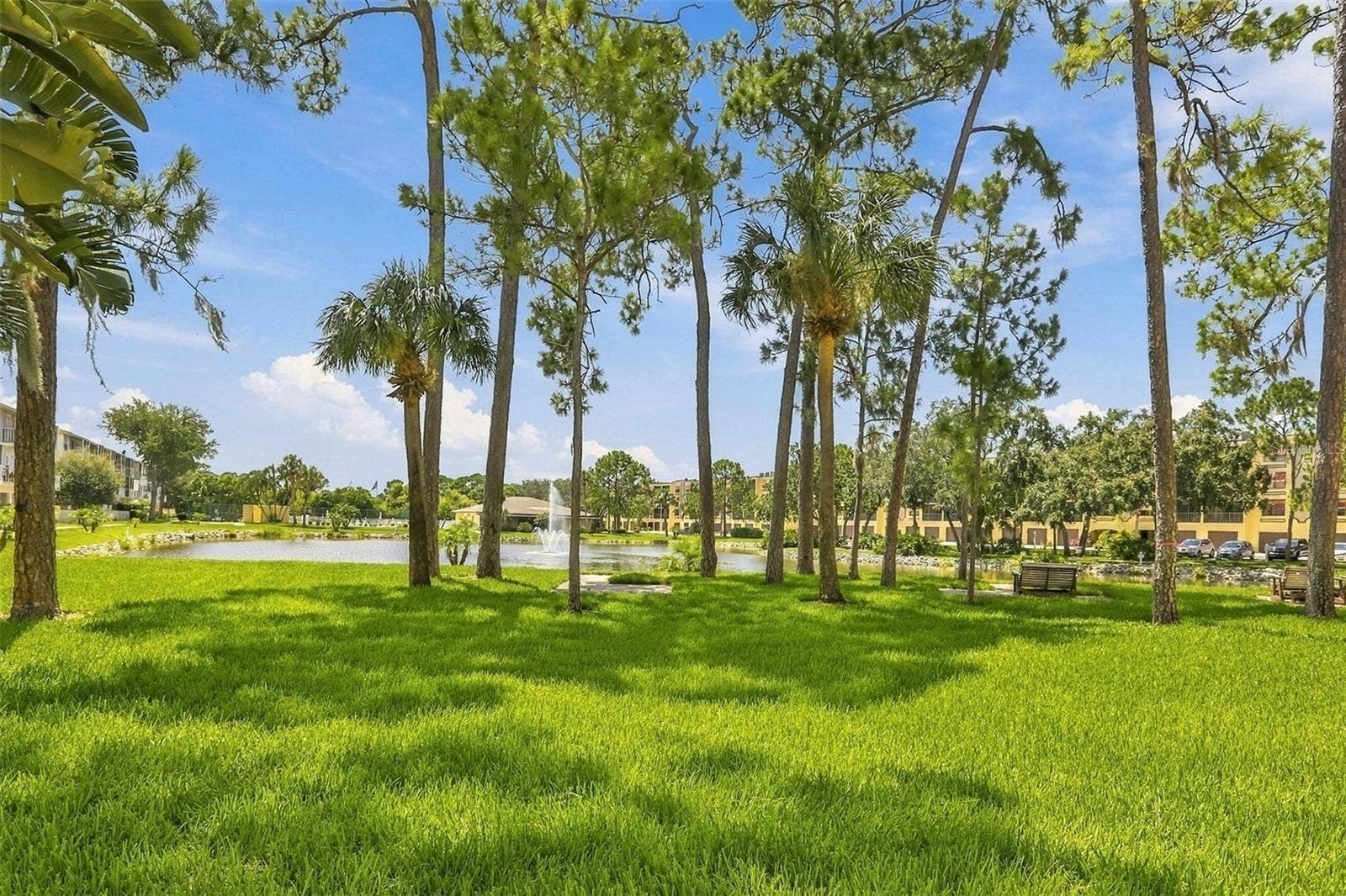 5817 PARK STREET N, #212, St Petersburg, FL 33709 5817 PARK STREET N, #212, St Petersburg, FL 33709