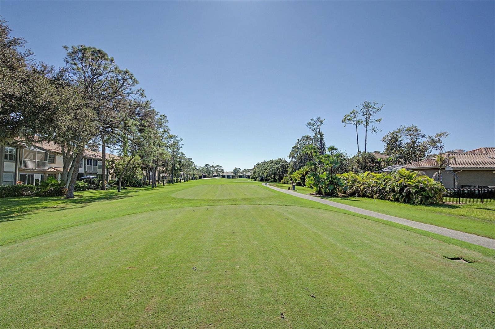 1290 CLAYS TRAIL, #1403, Oldsmar, FL 34677