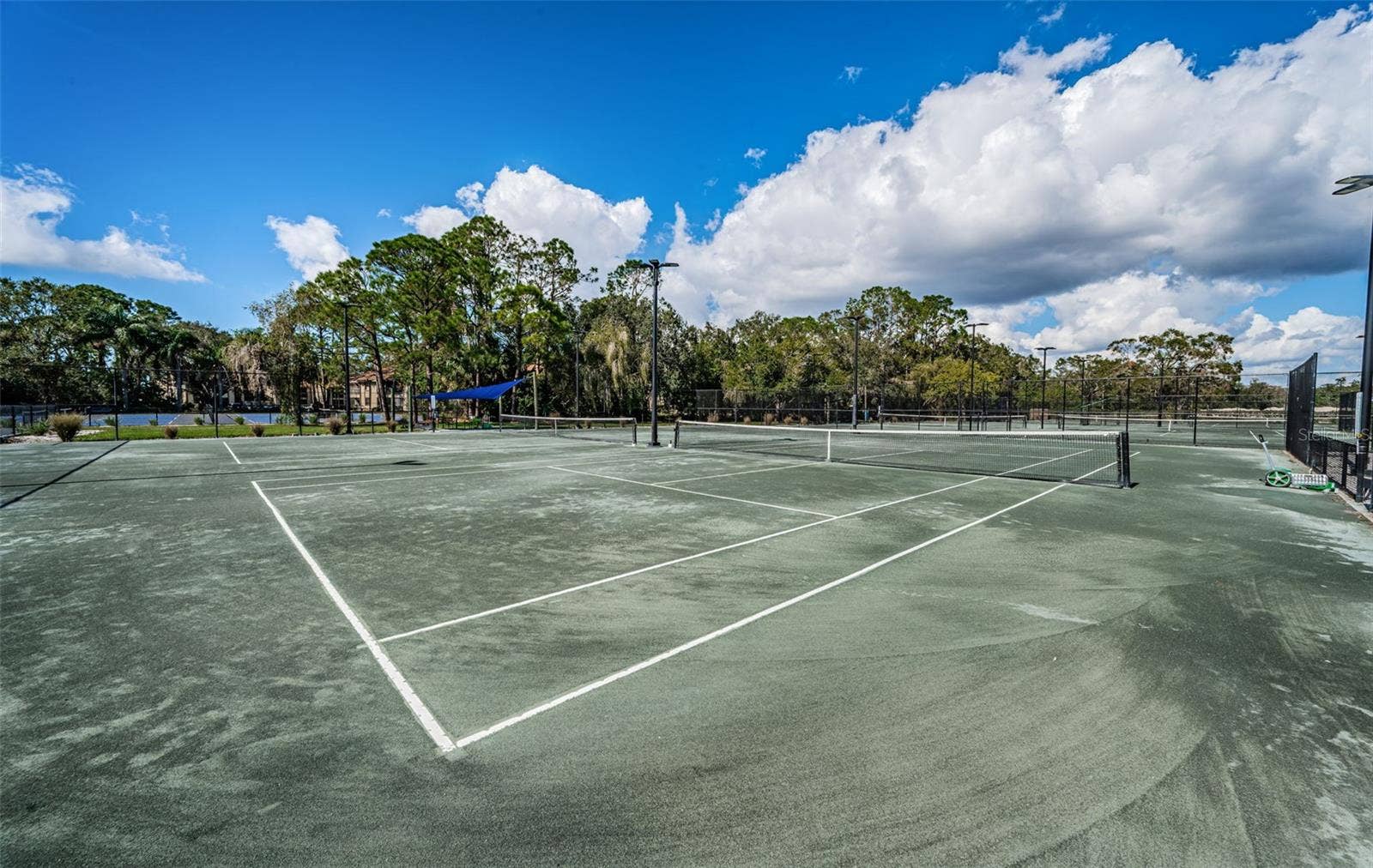 1290 CLAYS TRAIL, #1403, Oldsmar, FL 34677
