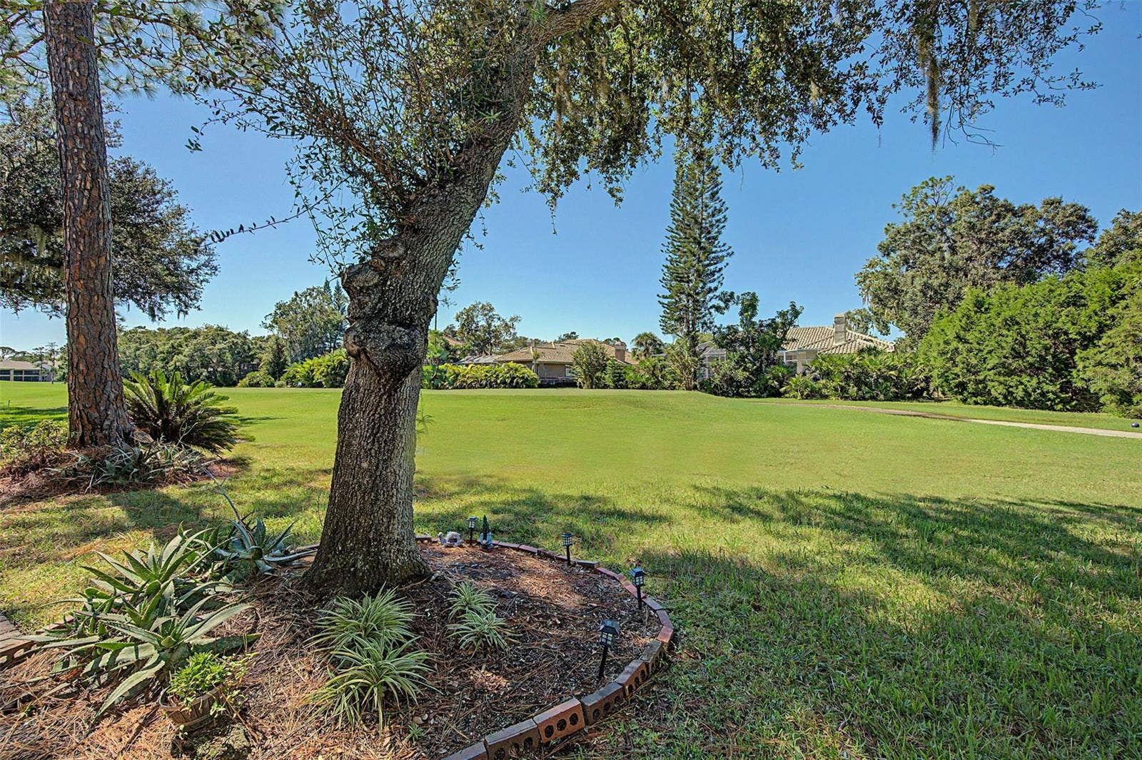 1290 CLAYS TRAIL, #1403, Oldsmar, FL 34677