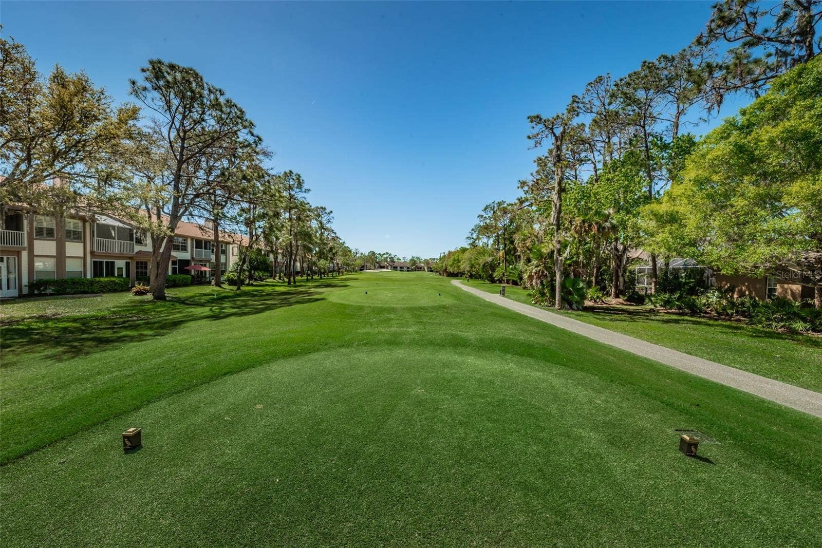 1290 CLAYS TRAIL, #1403, Oldsmar, FL 34677