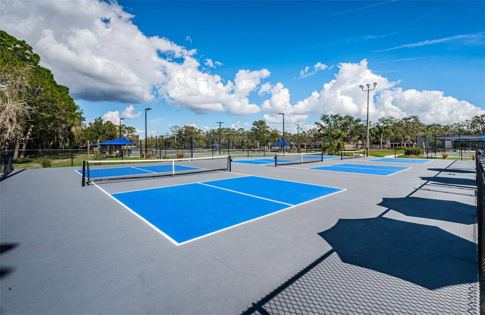 1290 CLAYS TRAIL, #1403, Oldsmar, FL 34677