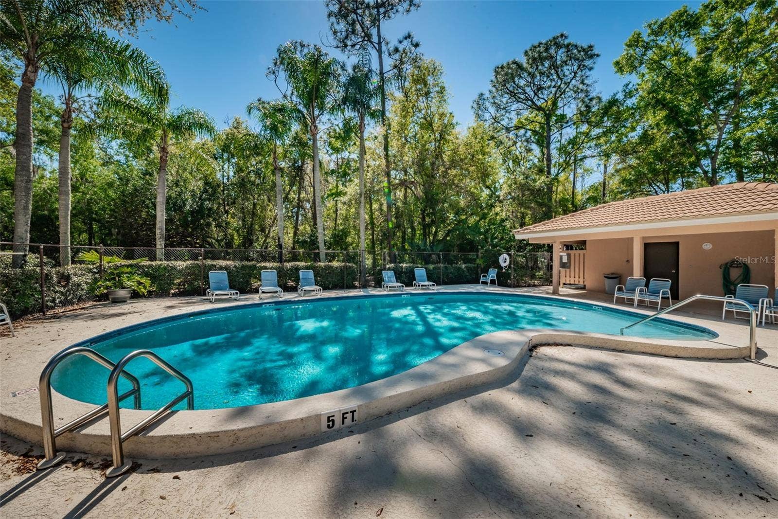 1290 CLAYS TRAIL, #1403, Oldsmar, FL 34677