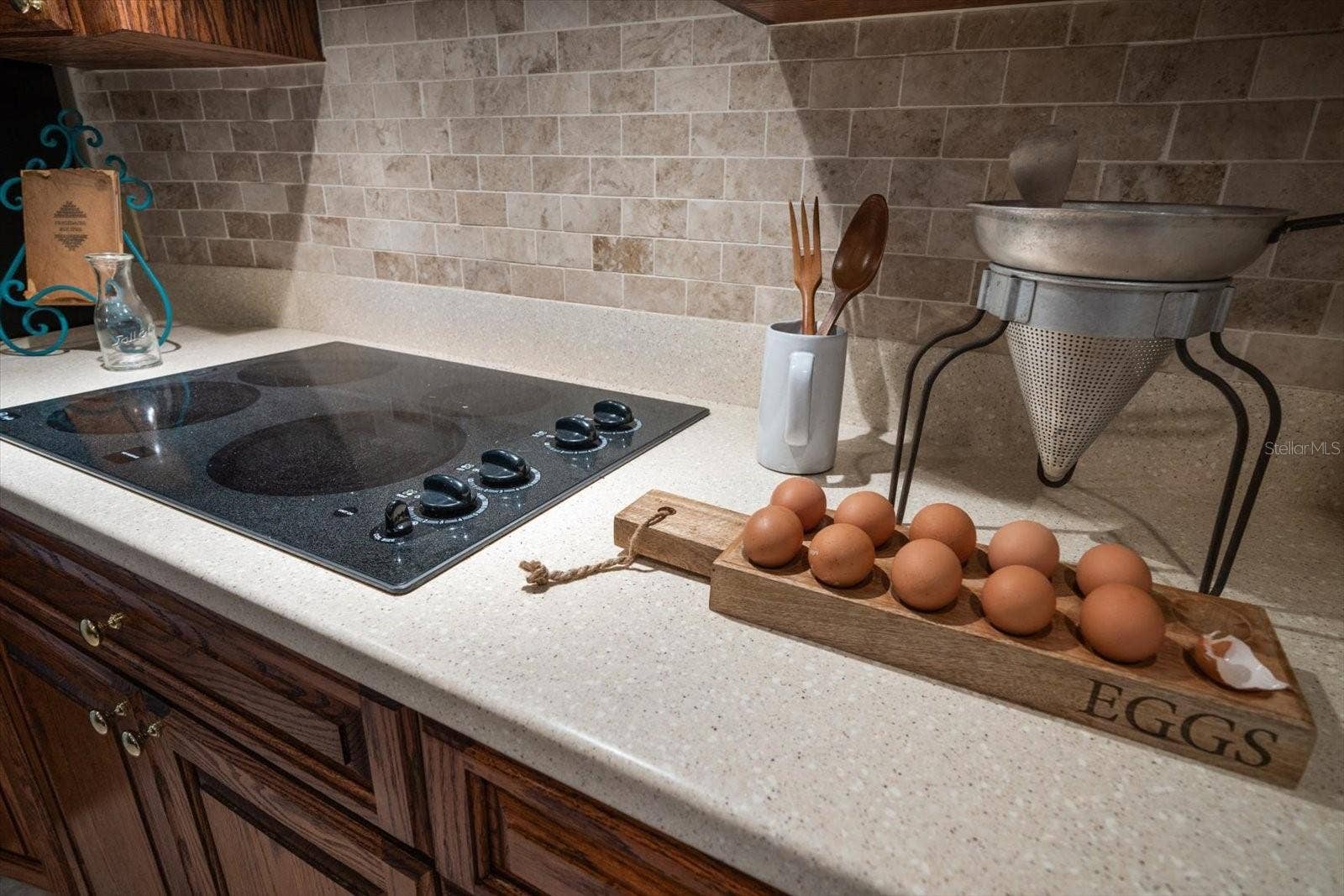1105 DEER RUN PLACE, Valrico, FL 33594 Let's get cooking!