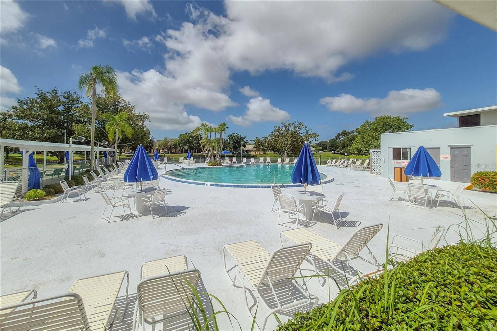8055 112TH STREET, #205, Seminole, FL 33772 Pool deck and Pool
