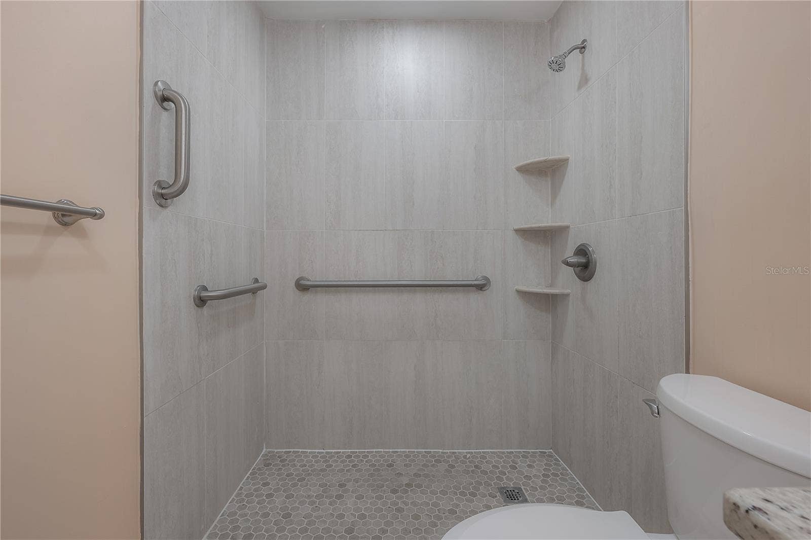8055 112TH STREET, #205, Seminole, FL 33772 Walk in shower with grab bars