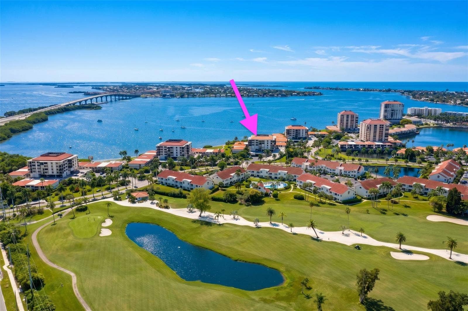 Hidden Gem in St Pete