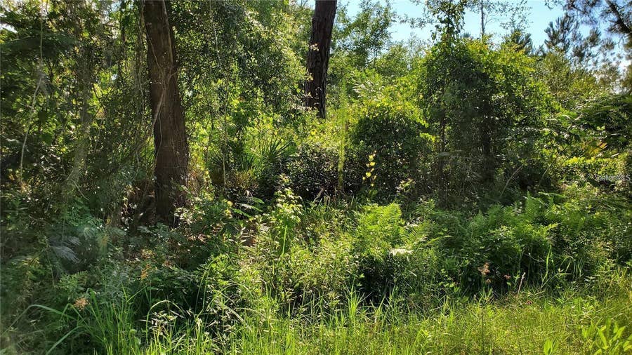 Property photo for 103 BOWFIN DRIVE, Satsuma, FL