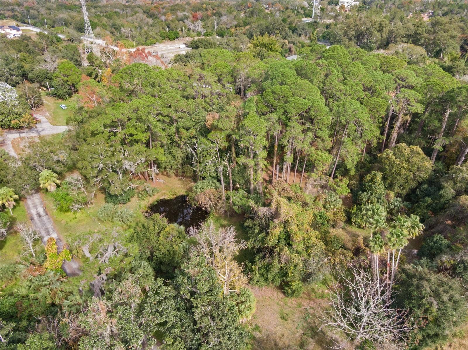 2373 KEYSTONE ROAD, Tarpon Springs, FL 34688 Second smaller pond area.
