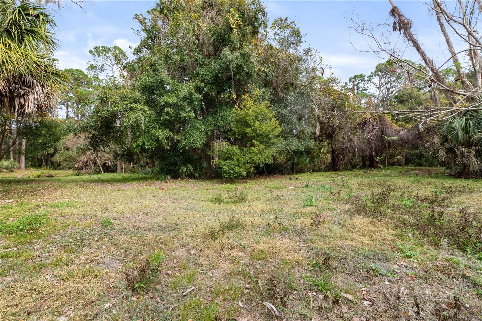2373 KEYSTONE ROAD, Tarpon Springs, FL 34688 Open land area