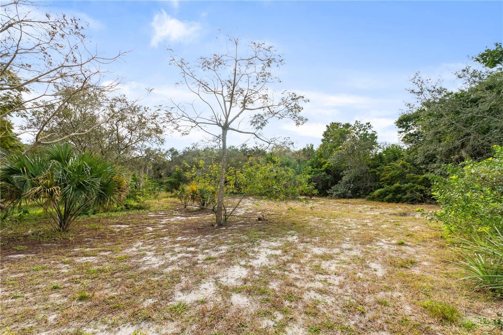 2373 KEYSTONE ROAD, Tarpon Springs, FL 34688 Open land area
