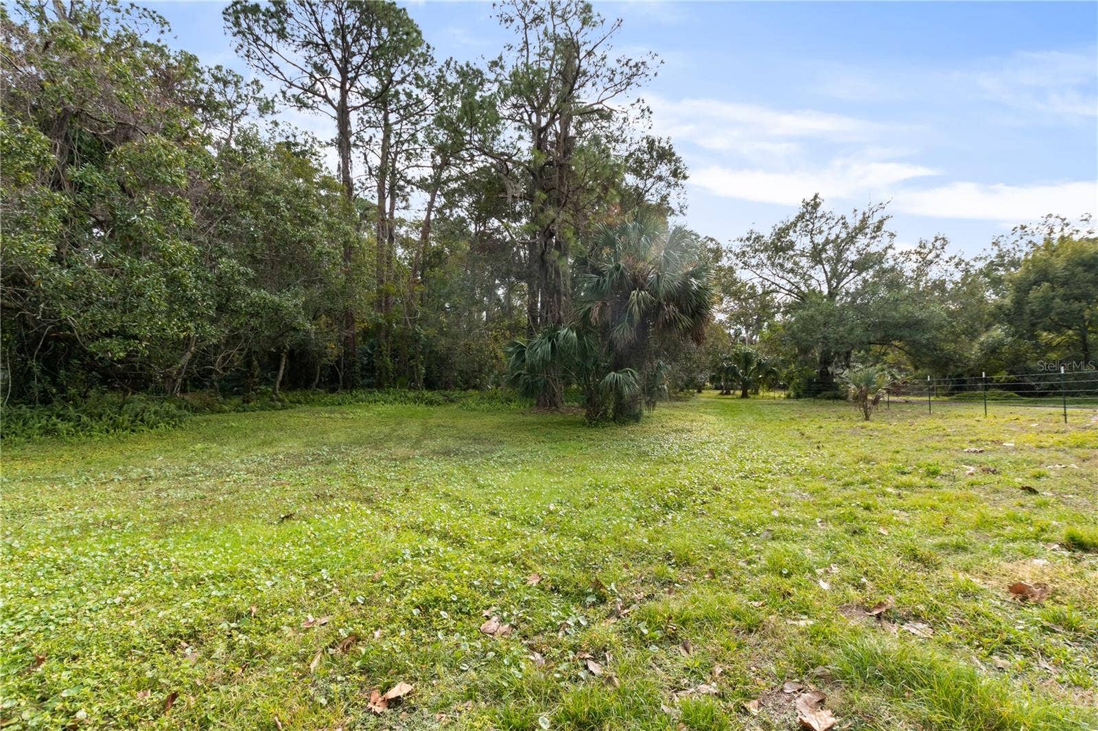 2373 KEYSTONE ROAD, Tarpon Springs, FL 34688 Open land area