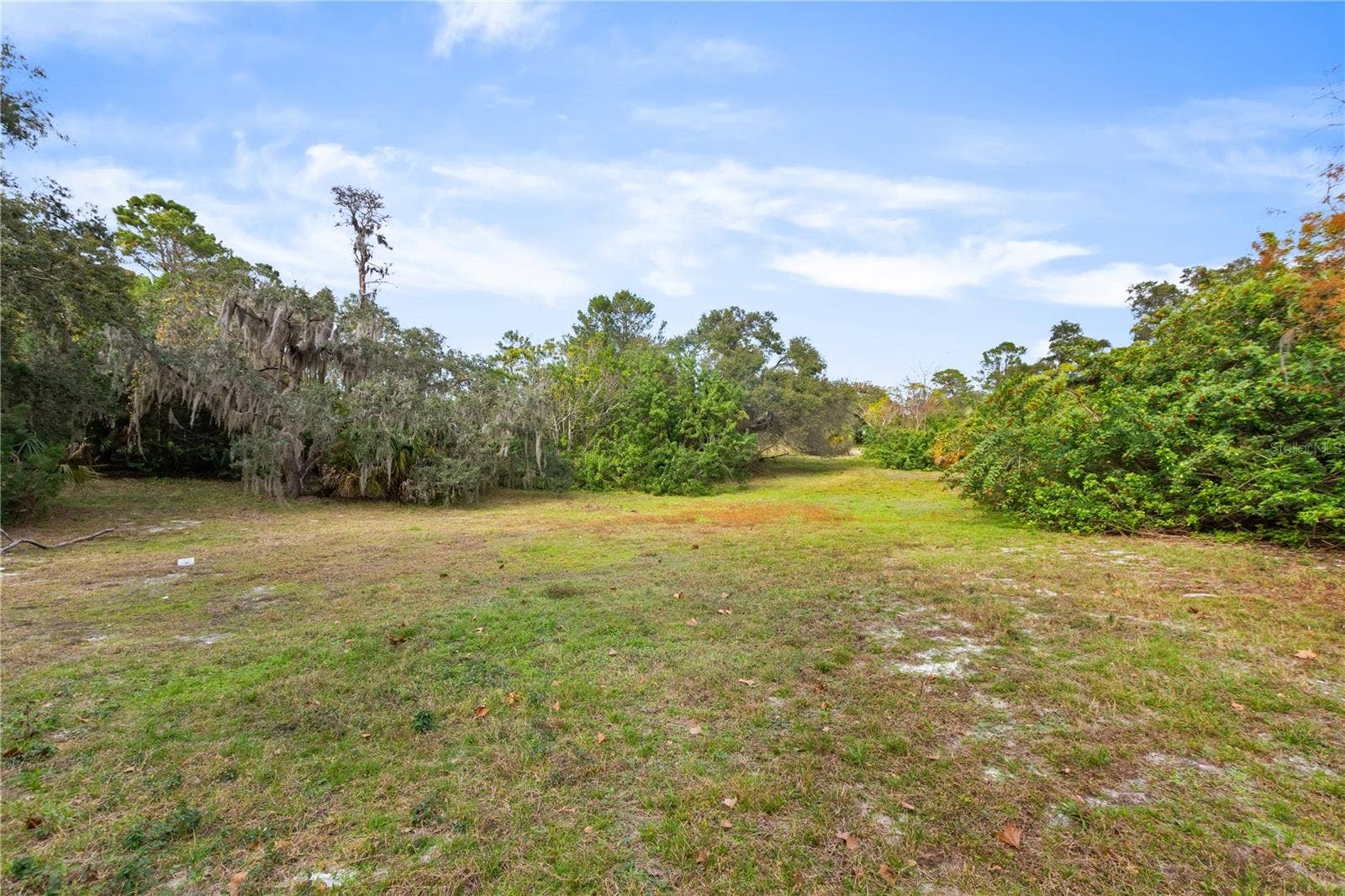 2373 KEYSTONE ROAD, Tarpon Springs, FL 34688 Open land area