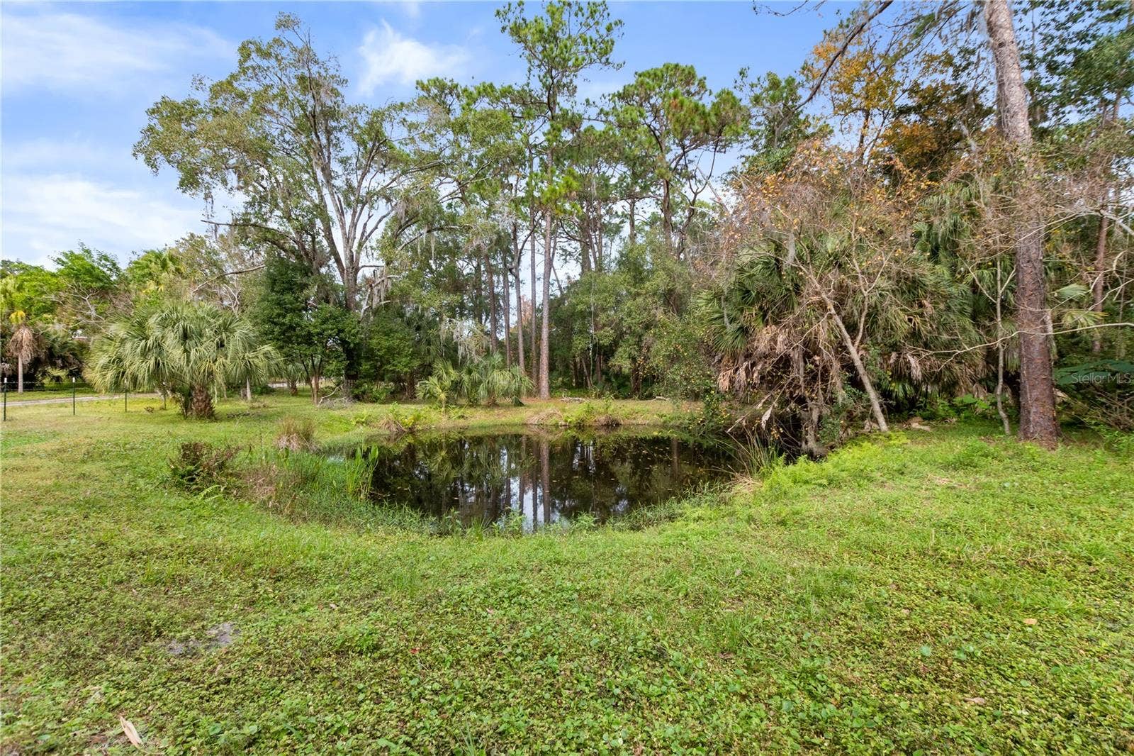 2373 KEYSTONE ROAD, Tarpon Springs, FL 34688 Private pond