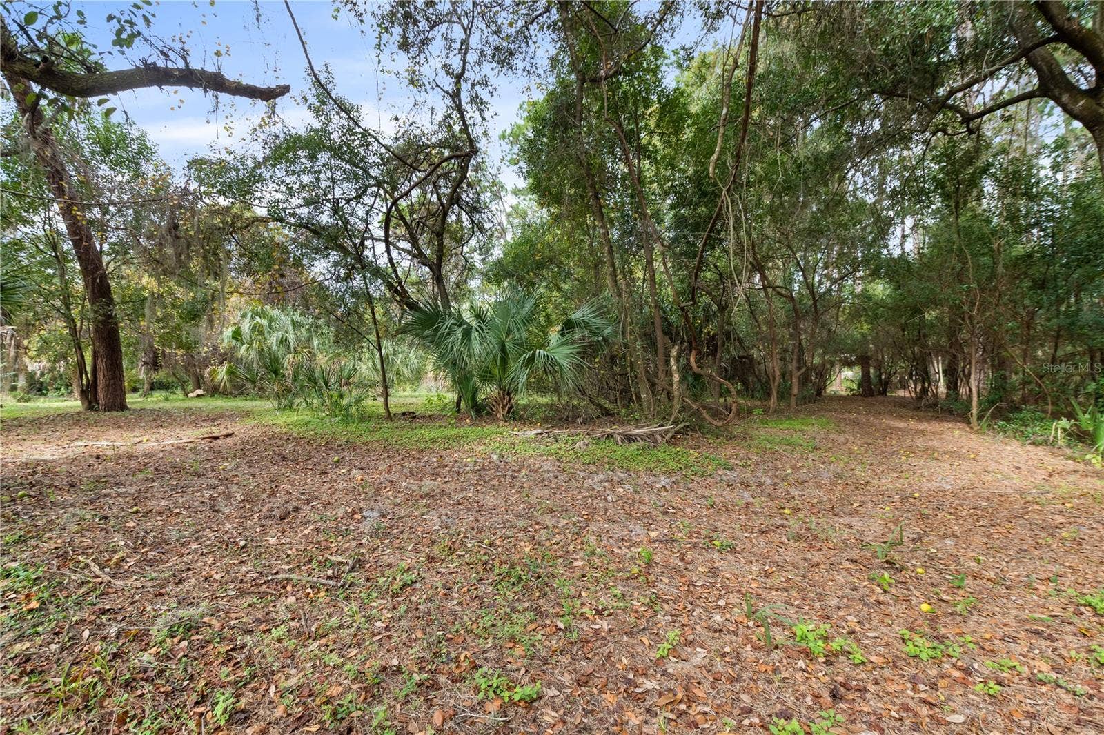 2373 KEYSTONE ROAD, Tarpon Springs, FL 34688 Open land area