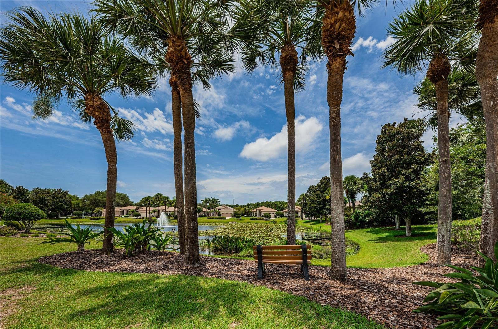 4008 SILK OAK LANE, Palm Harbor, FL 34685 4008 SILK OAK LANE, Palm Harbor, FL 34685