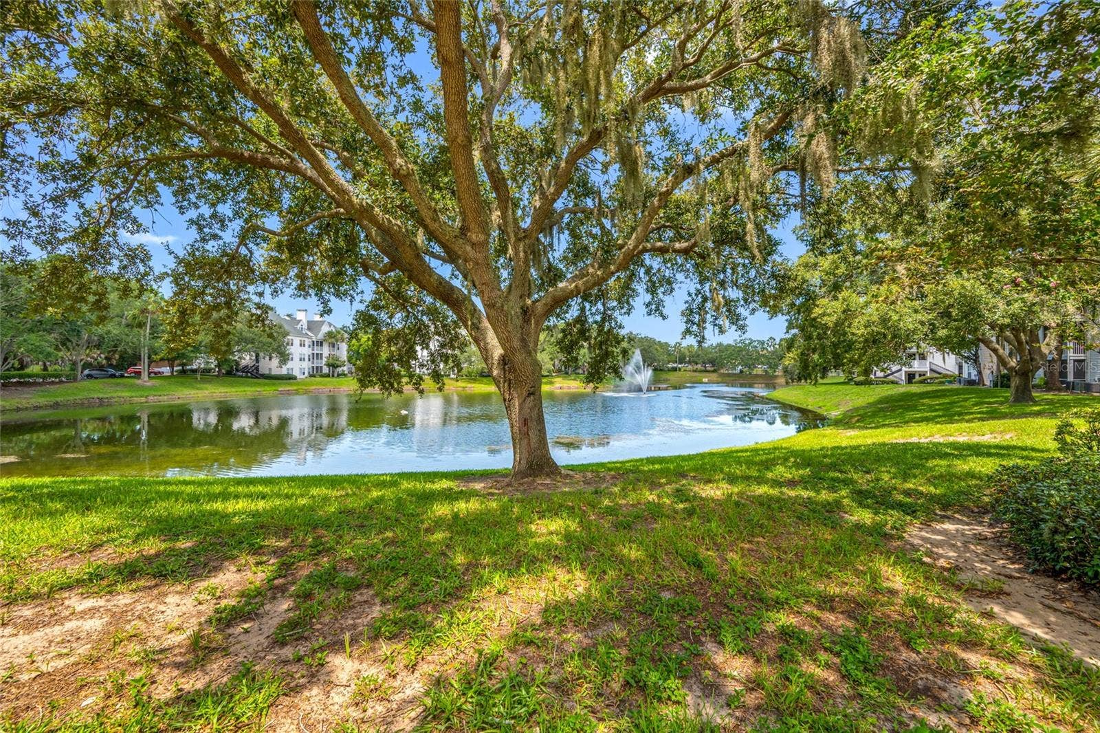 3300 HAVILAND COURT, #104, Palm Harbor, FL 34684 3300 HAVILAND COURT, #104, Palm Harbor, FL 34684