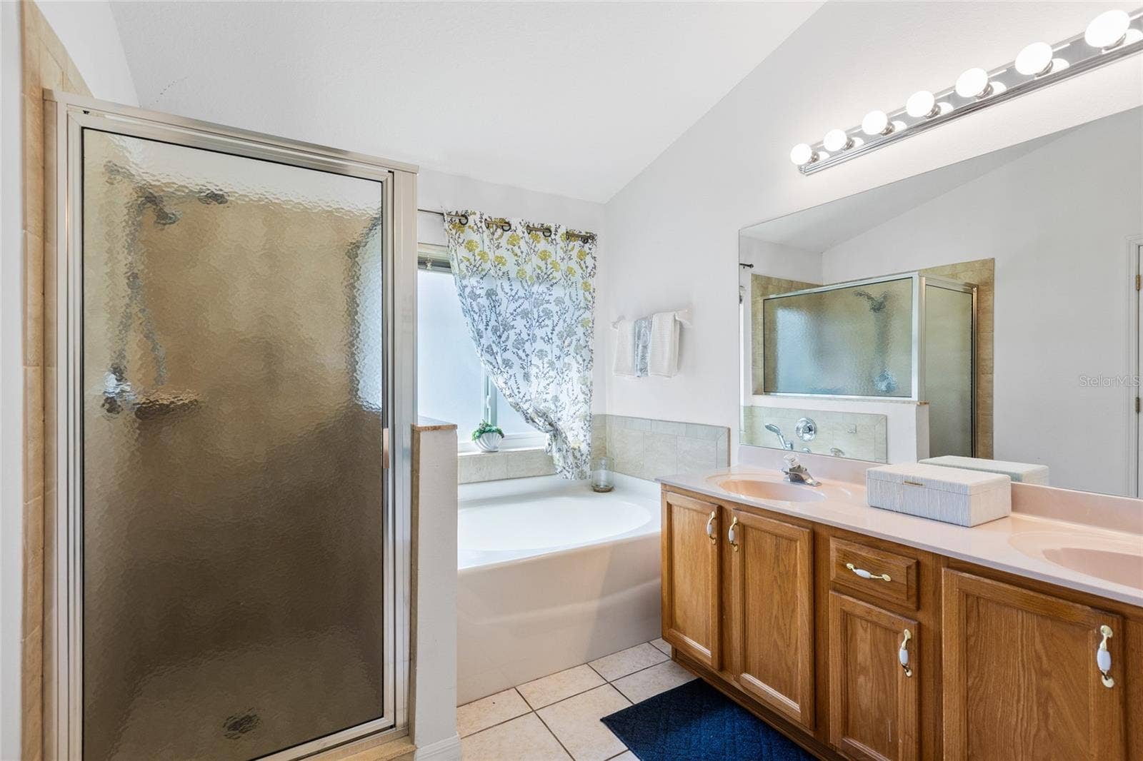 25500 GEDDY DRIVE, Land O Lakes, FL 34639 Primary Bathroom