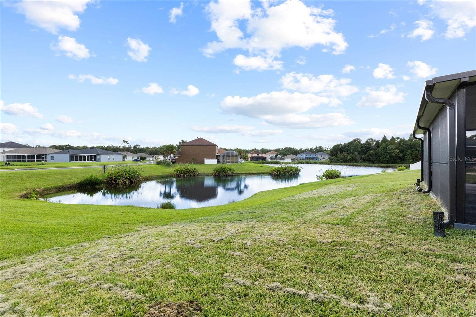25500 GEDDY DRIVE, Land O Lakes, FL 34639 25500 GEDDY DRIVE, Land O Lakes, FL 34639