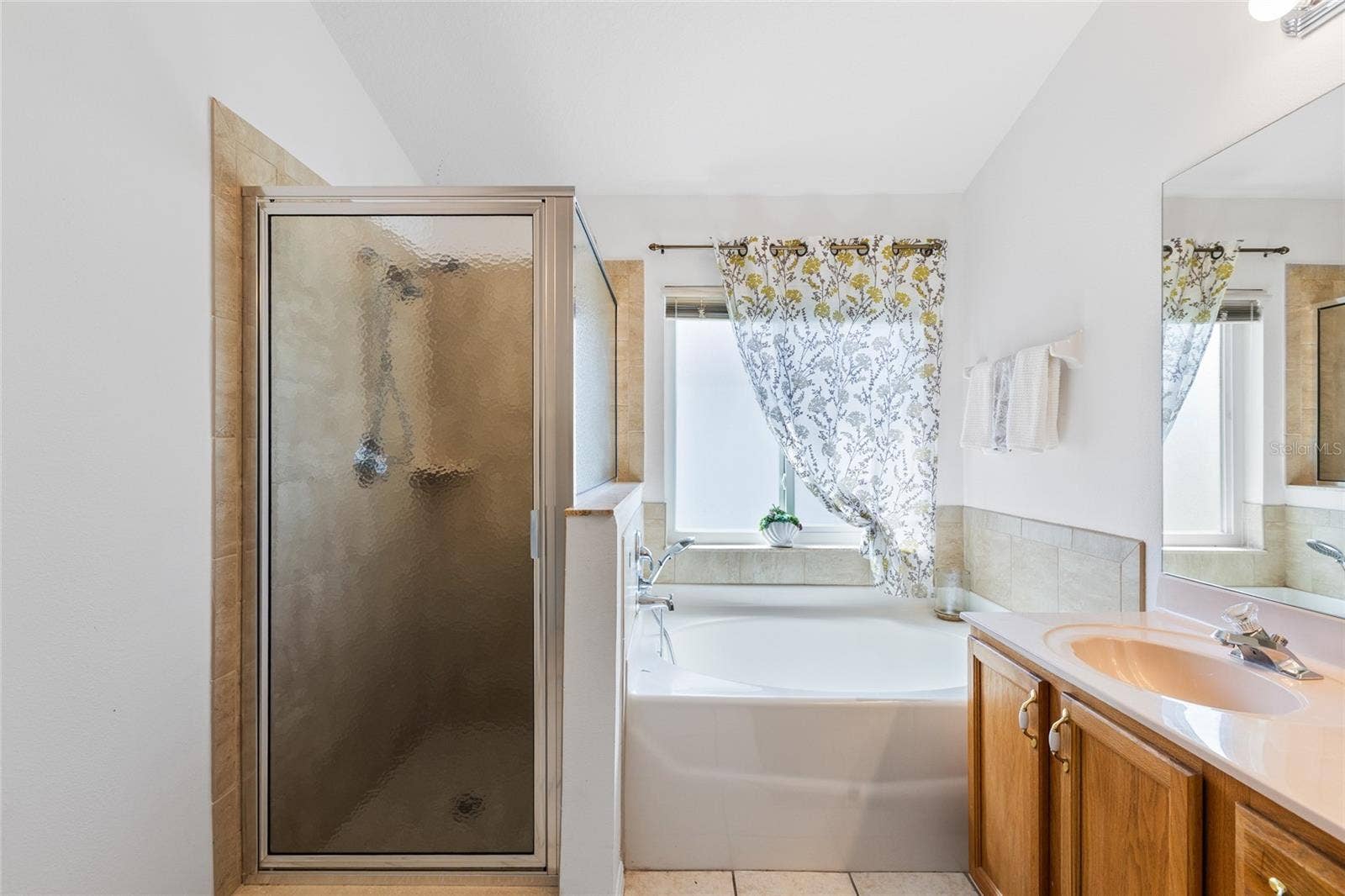 25500 GEDDY DRIVE, Land O Lakes, FL 34639 Primary Bathroom