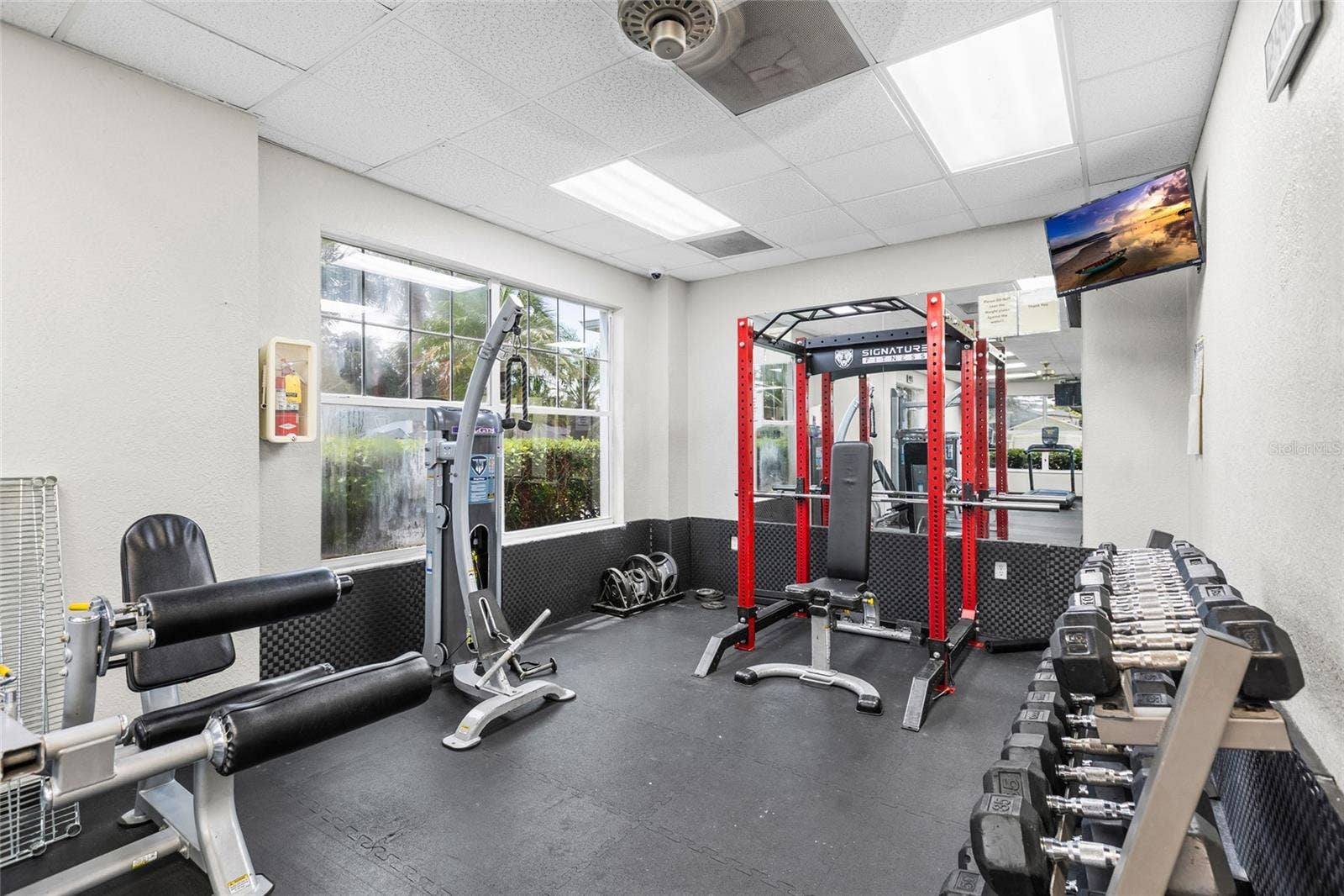 25500 GEDDY DRIVE, Land O Lakes, FL 34639 Gym