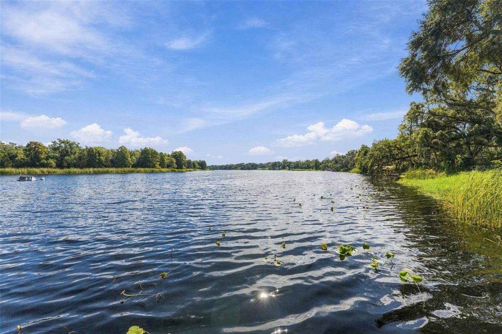3006 RIVER GROVE DRIVE, Tampa, FL 33610 3006 RIVER GROVE DRIVE, Tampa, FL 33610