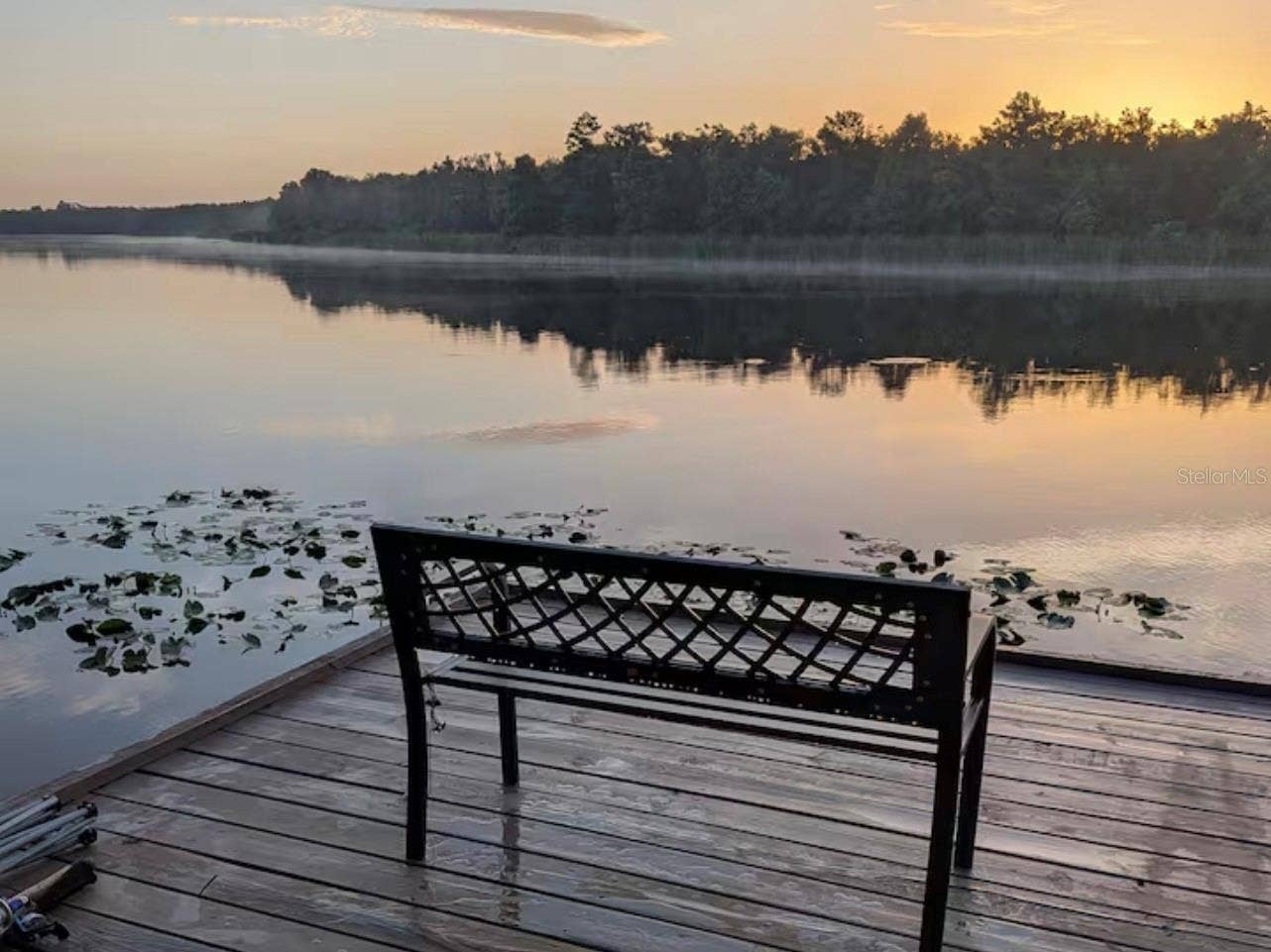 3006 RIVER GROVE DRIVE, Tampa, FL 33610 Tranquility - sunrise on the water