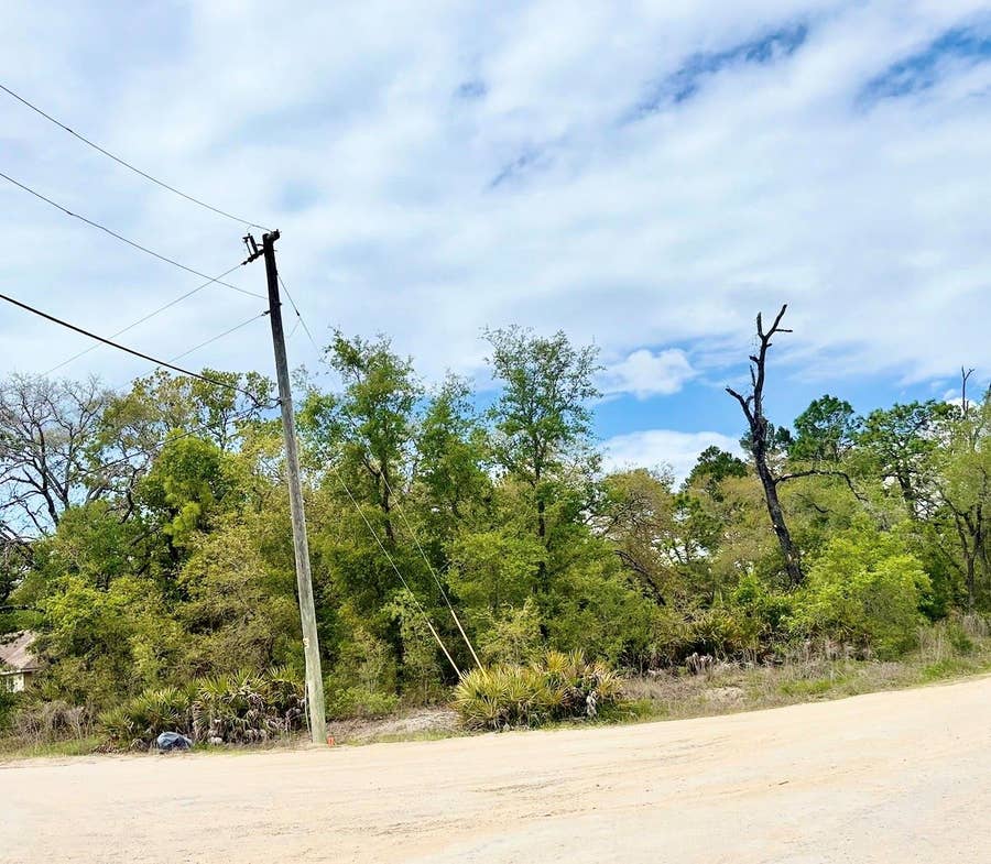 Property photo for MOUNTAIN MOCKINGBIRD ROAD, Weeki Wachee, FL