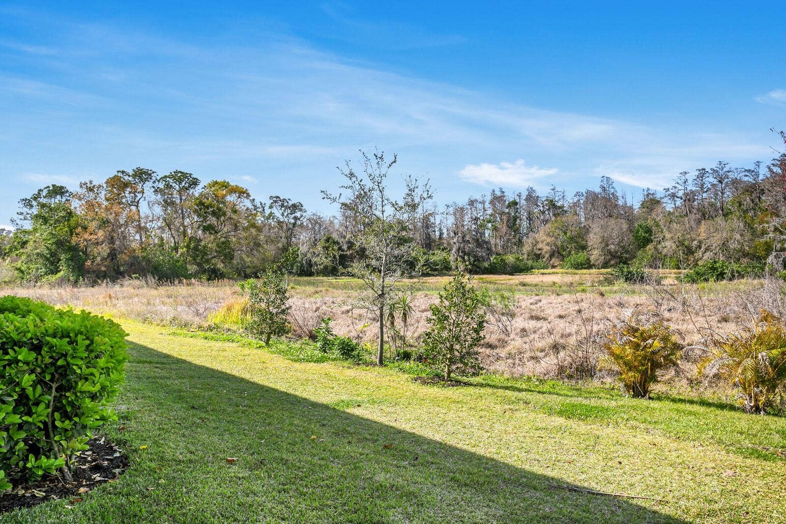 8355 WILDFLOWER GLEN AVENUE, Odessa, FL 33556