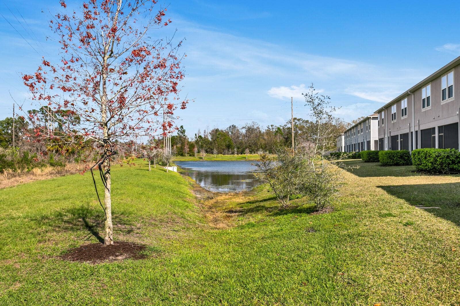 8355 WILDFLOWER GLEN AVENUE, Odessa, FL 33556