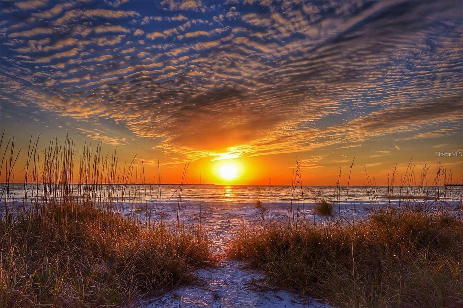 Spectacular Sunsets