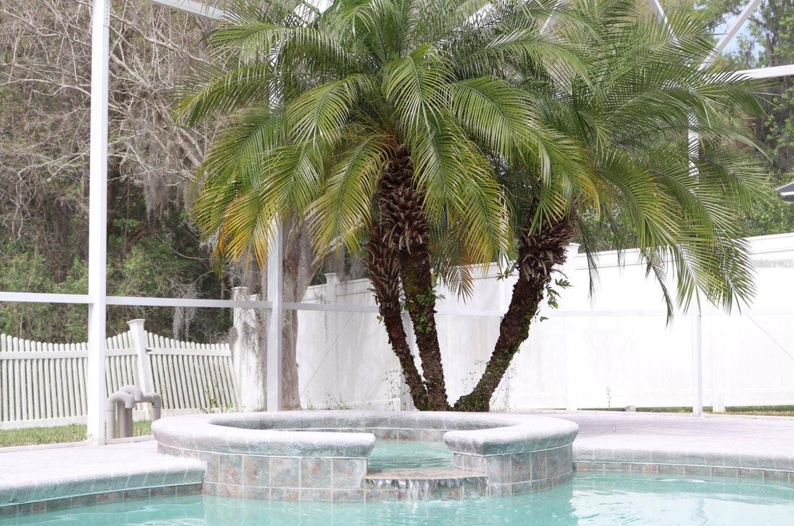 27709 KIRKWOOD CIRCLE, Wesley Chapel, FL 33544 27709 KIRKWOOD CIRCLE, Wesley Chapel, FL 33544