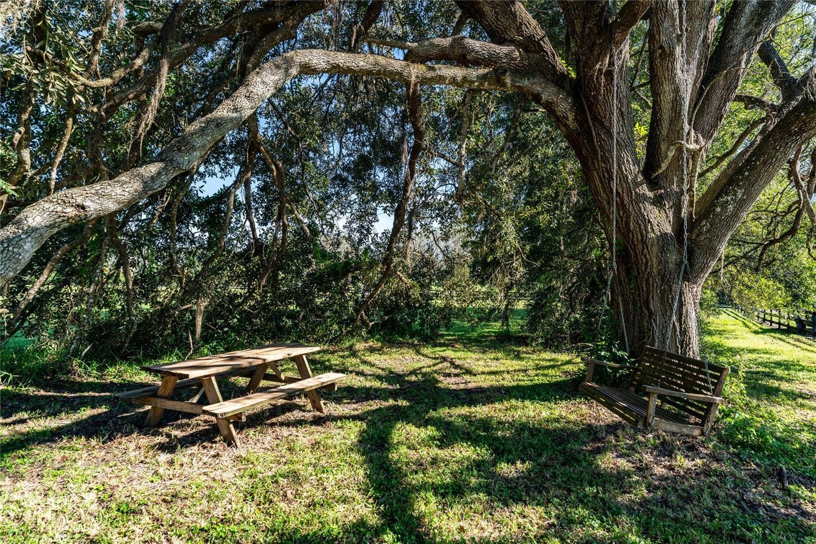 32305 PASCO ROAD, San Antonio, FL 33576 Swing and picnic area on property!