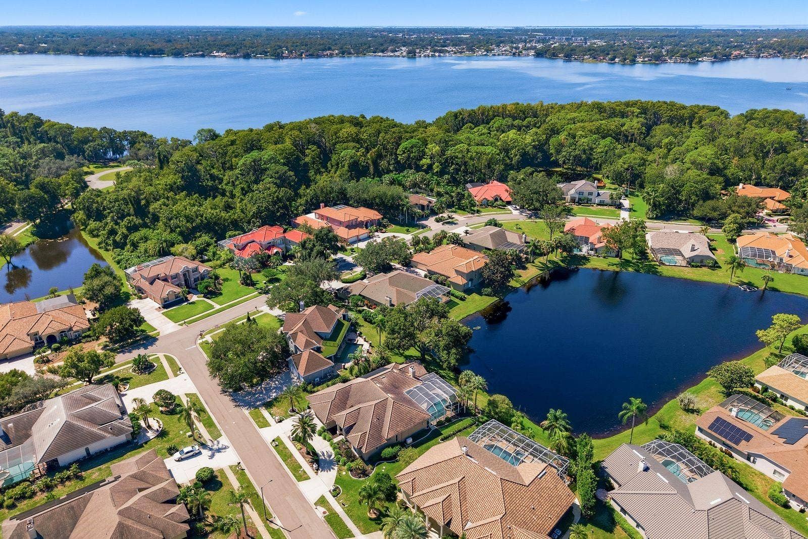 3763 EXECUTIVE DRIVE, Palm Harbor, FL 34685 3763 EXECUTIVE DRIVE, Palm Harbor, FL 34685