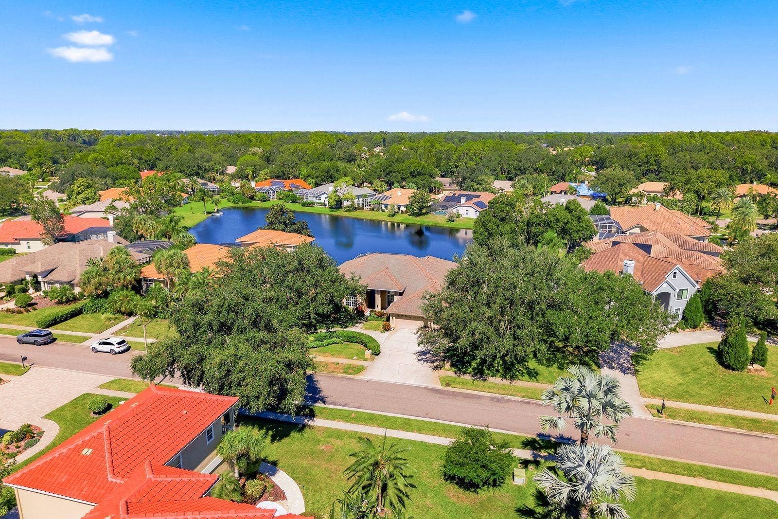 3763 EXECUTIVE DRIVE, Palm Harbor, FL 34685 3763 EXECUTIVE DRIVE, Palm Harbor, FL 34685