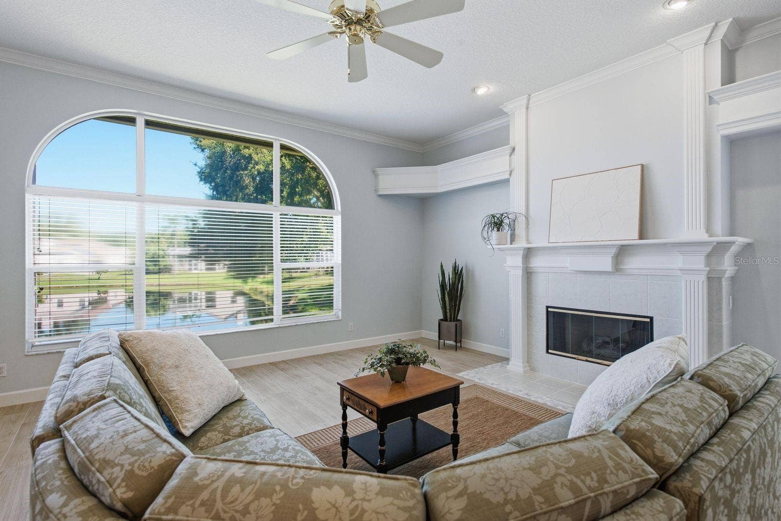 3763 EXECUTIVE DRIVE, Palm Harbor, FL 34685 3763 EXECUTIVE DRIVE, Palm Harbor, FL 34685