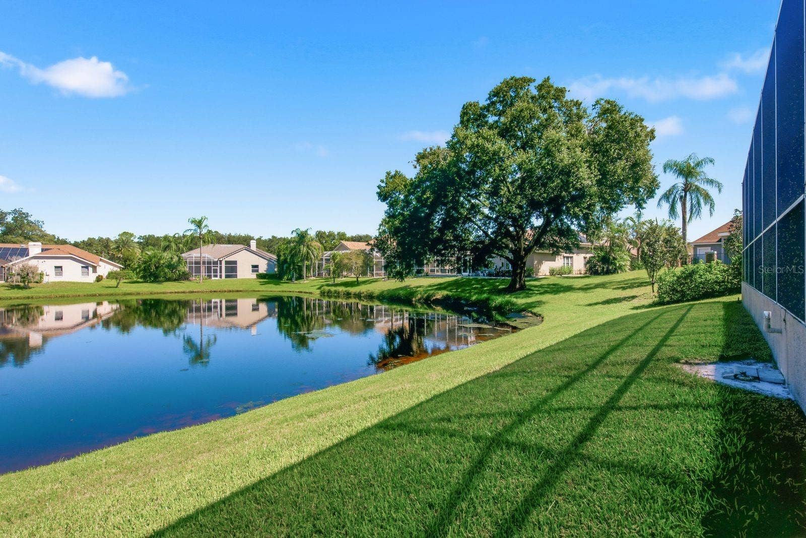 3763 EXECUTIVE DRIVE, Palm Harbor, FL 34685 Backyard