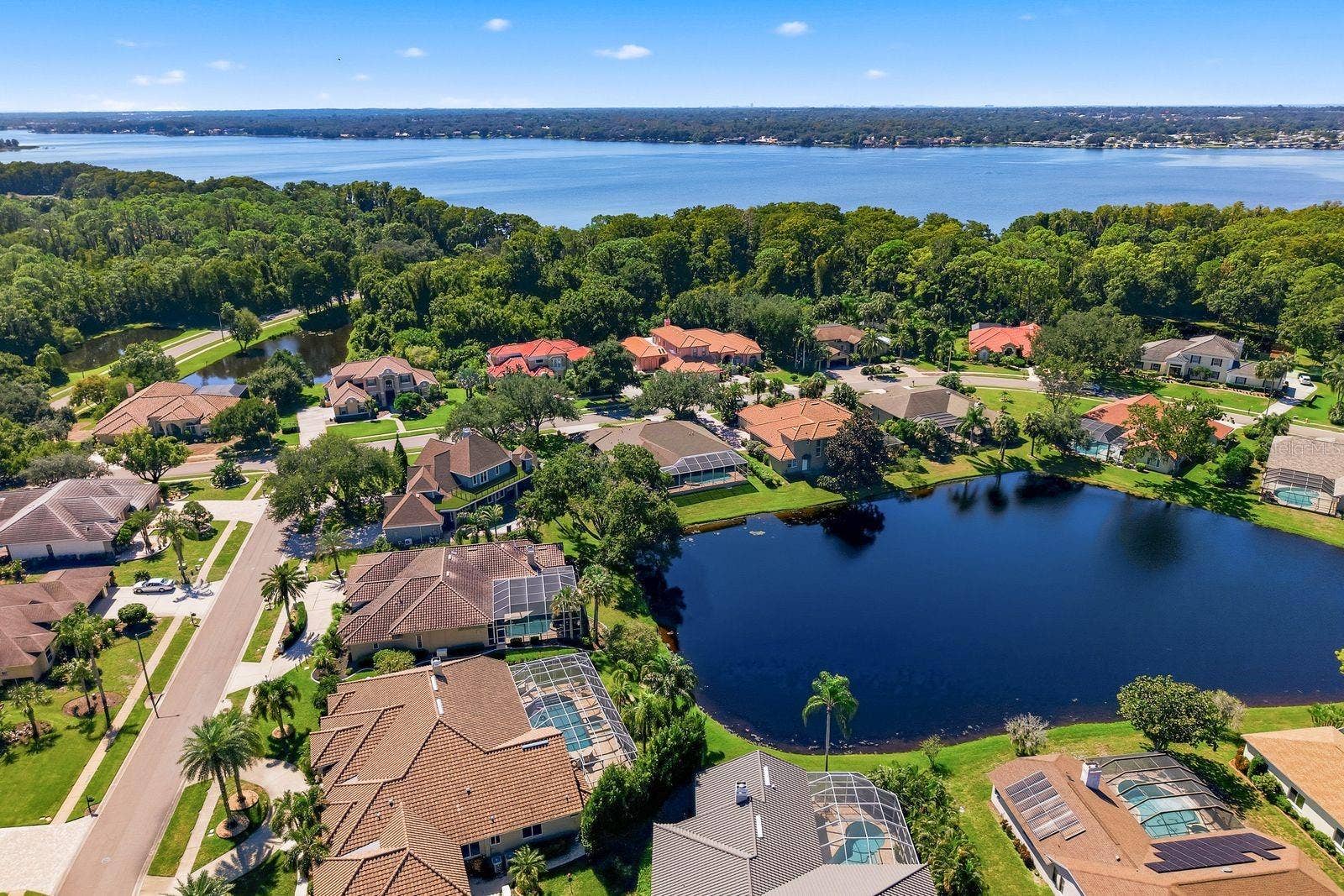 3763 EXECUTIVE DRIVE, Palm Harbor, FL 34685 3763 EXECUTIVE DRIVE, Palm Harbor, FL 34685