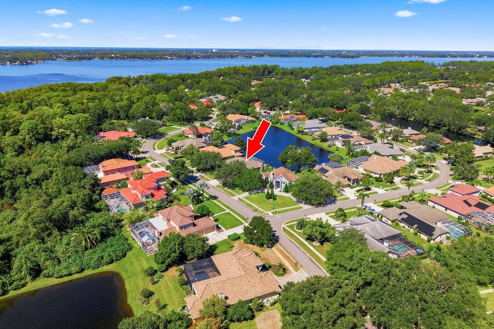 3763 EXECUTIVE DRIVE, Palm Harbor, FL 34685 3763 EXECUTIVE DRIVE, Palm Harbor, FL 34685