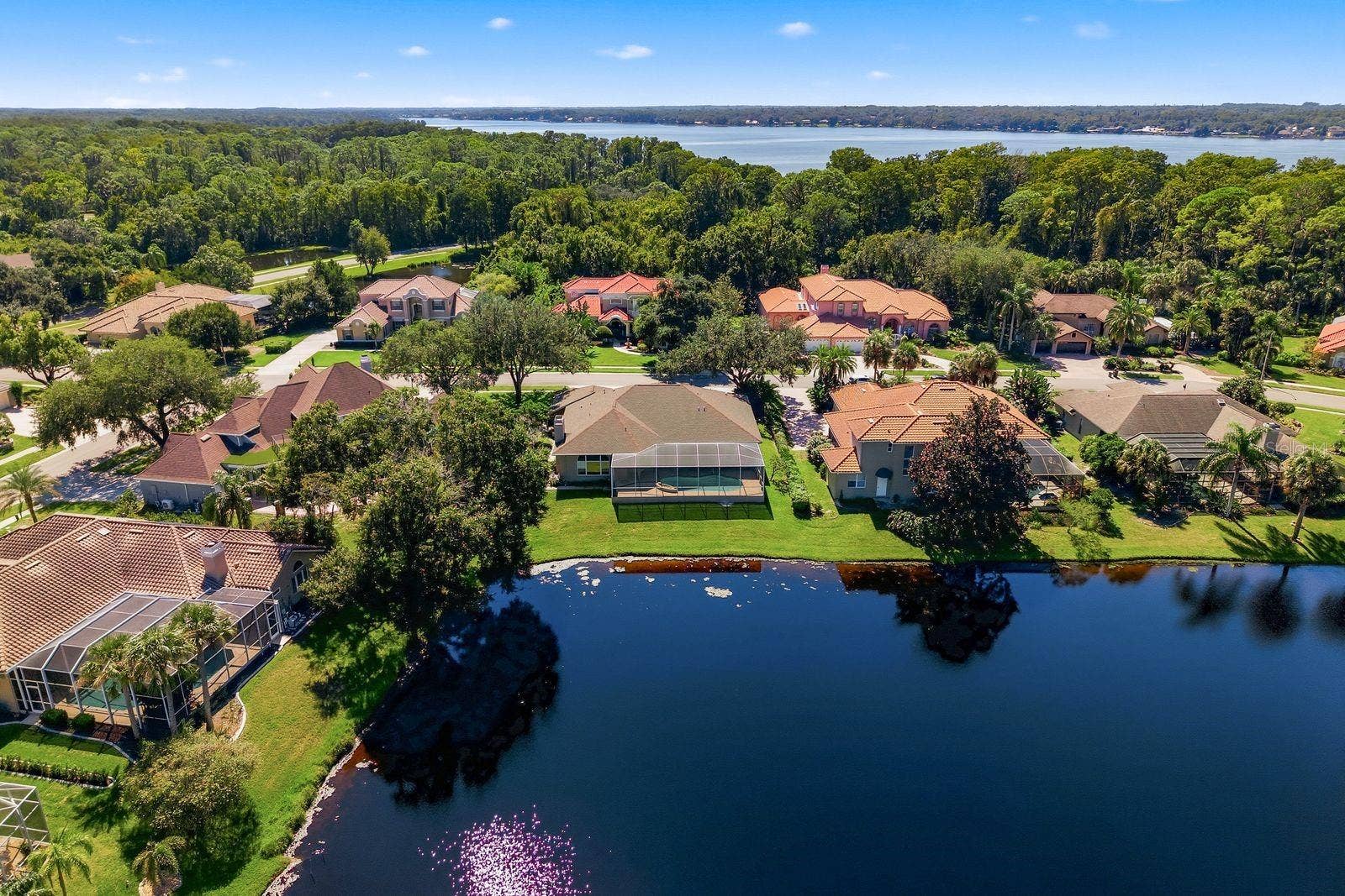 3763 EXECUTIVE DRIVE, Palm Harbor, FL 34685 3763 EXECUTIVE DRIVE, Palm Harbor, FL 34685