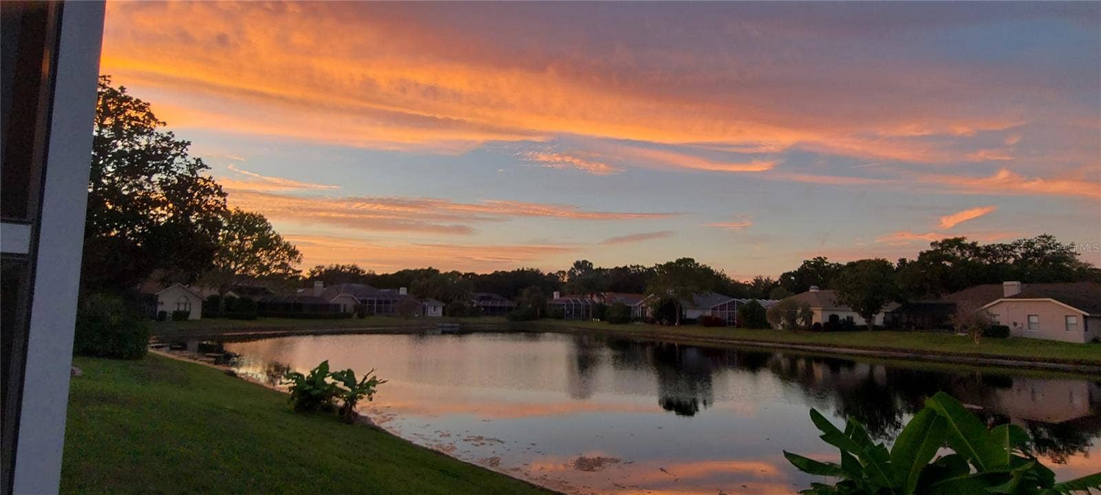 3763 EXECUTIVE DRIVE, Palm Harbor, FL 34685 3763 EXECUTIVE DRIVE, Palm Harbor, FL 34685