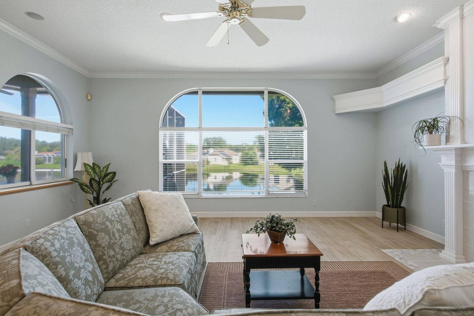 3763 EXECUTIVE DRIVE, Palm Harbor, FL 34685 3763 EXECUTIVE DRIVE, Palm Harbor, FL 34685