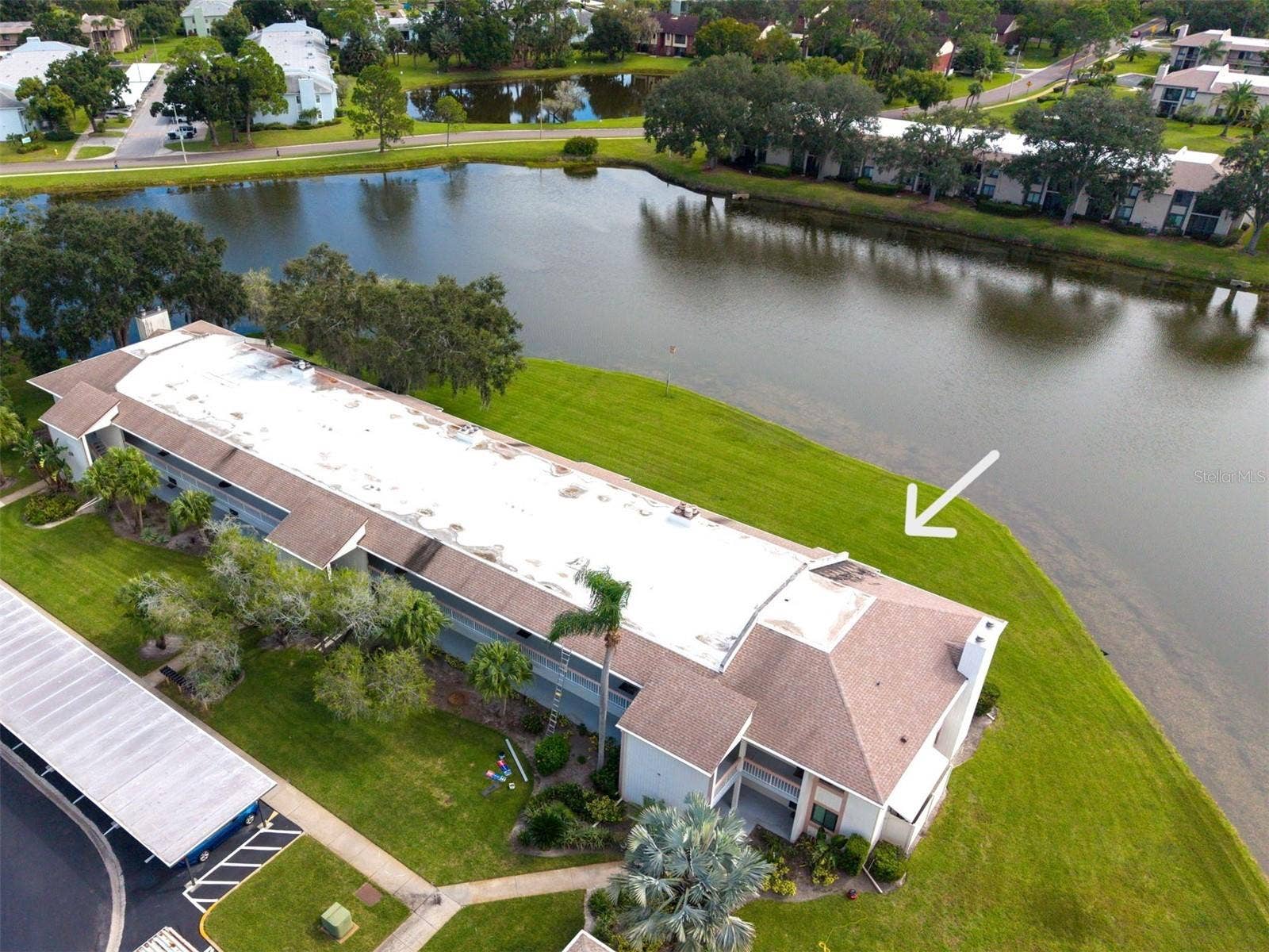 151 LAKEVIEW WAY, #151, Oldsmar, FL 34677