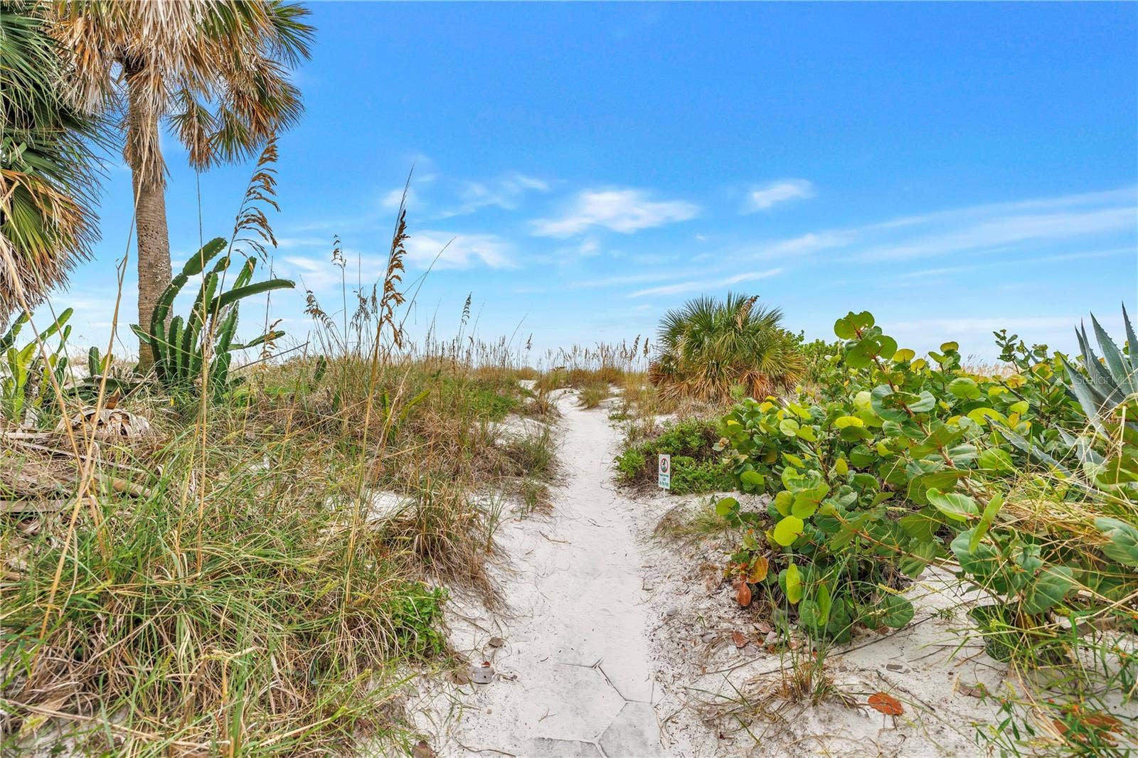 3575 GULF BOULEVARD, #103, St Pete Beach, FL 33706 3575 GULF BOULEVARD, #103, St Pete Beach, FL 33706