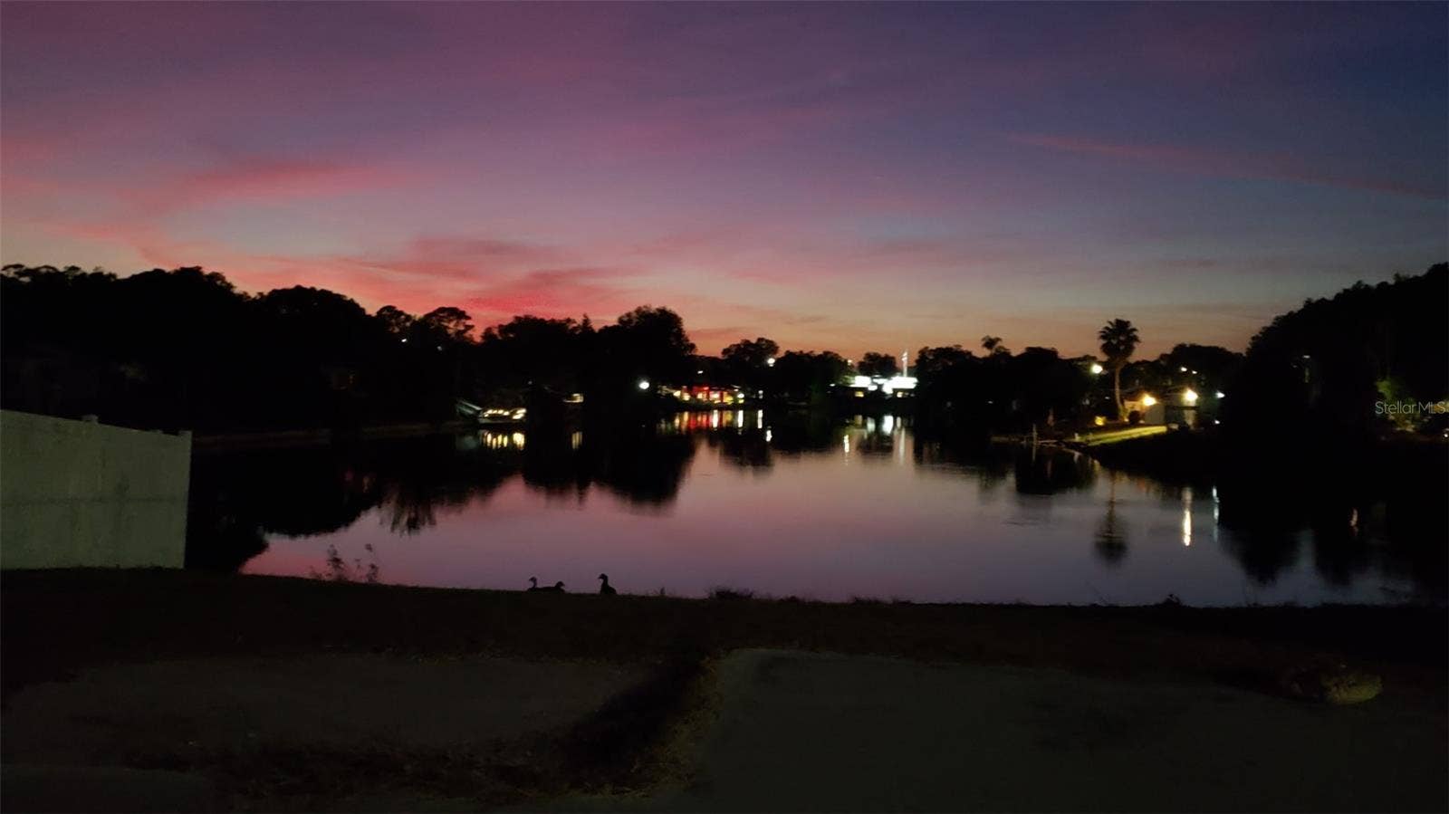 11611 SCALLOP DRIVE, Port Richey, FL 34668 11611 SCALLOP DRIVE, Port Richey, FL 34668