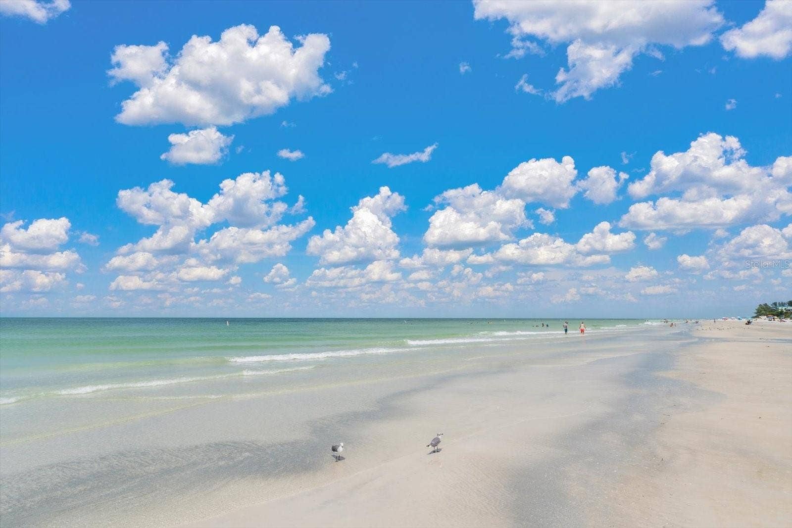 1512 GULF BOULEVARD, Indian Rocks Beach, FL 33785 Swim fish play all day!