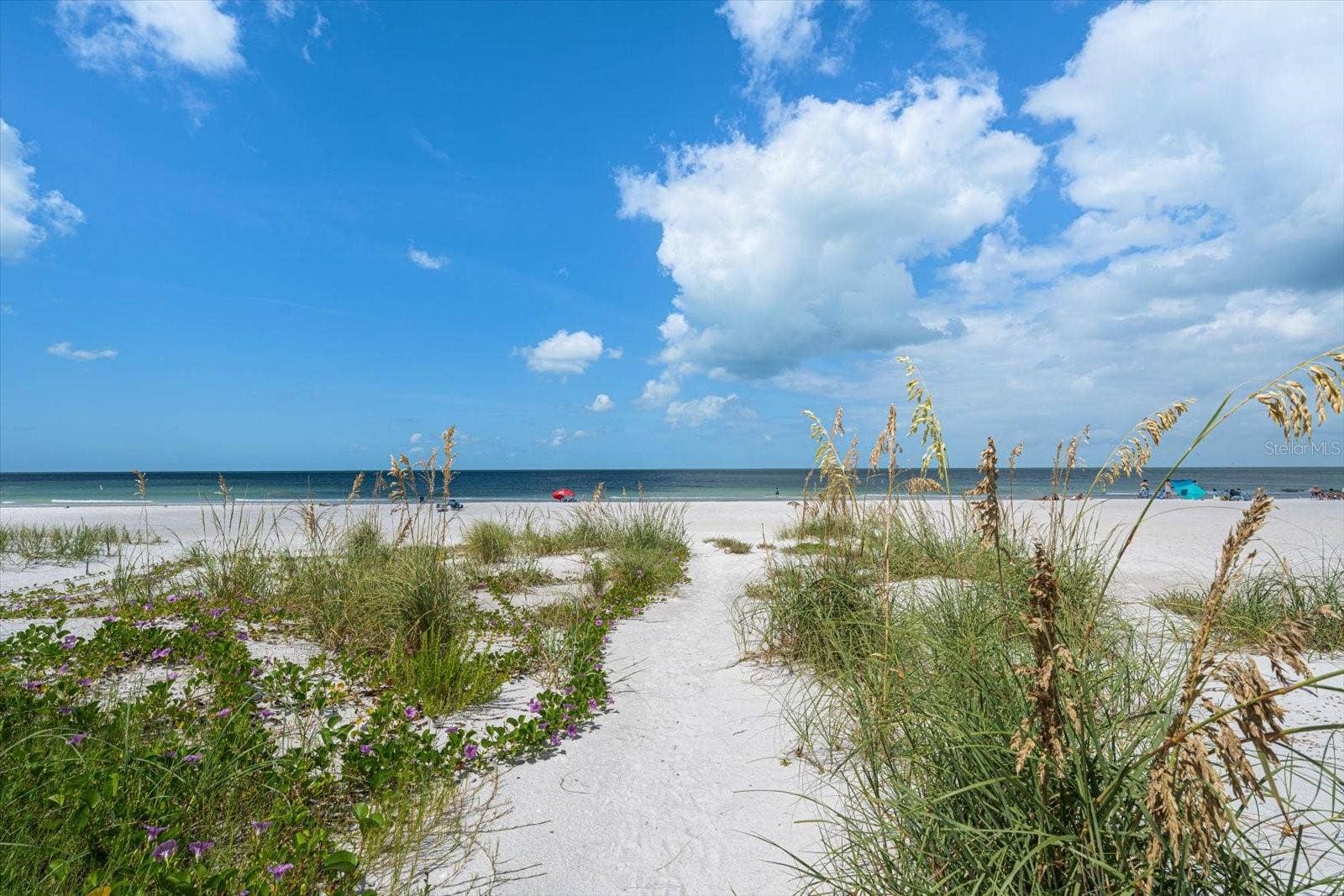 1512 GULF BOULEVARD, Indian Rocks Beach, FL 33785 Privacy prevails!