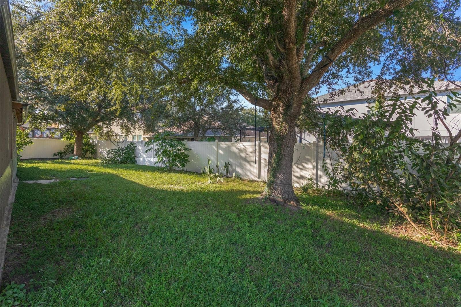 2524 CROSS MORE STREET, Valrico, FL 33594 Back Yard