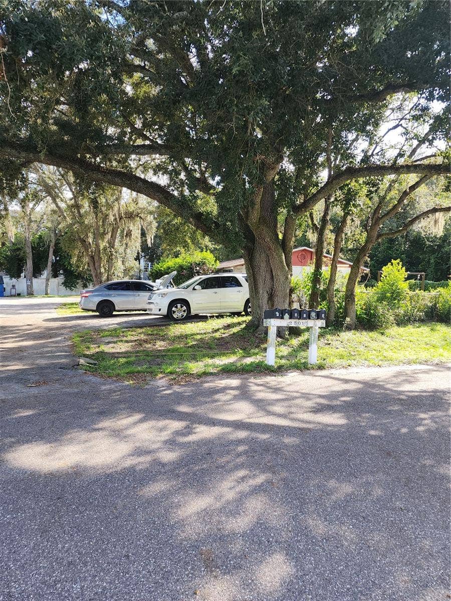 2501 IRENE STREET, Lutz, FL 33549 2501 IRENE STREET, Lutz, FL 33549