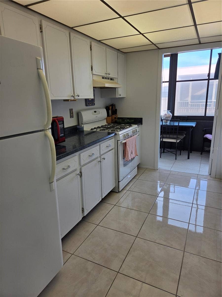 5969 TERRACE PARK DRIVE N, #305, St Petersburg, FL 33709 Lots of cabinets in the spacious kitchen
